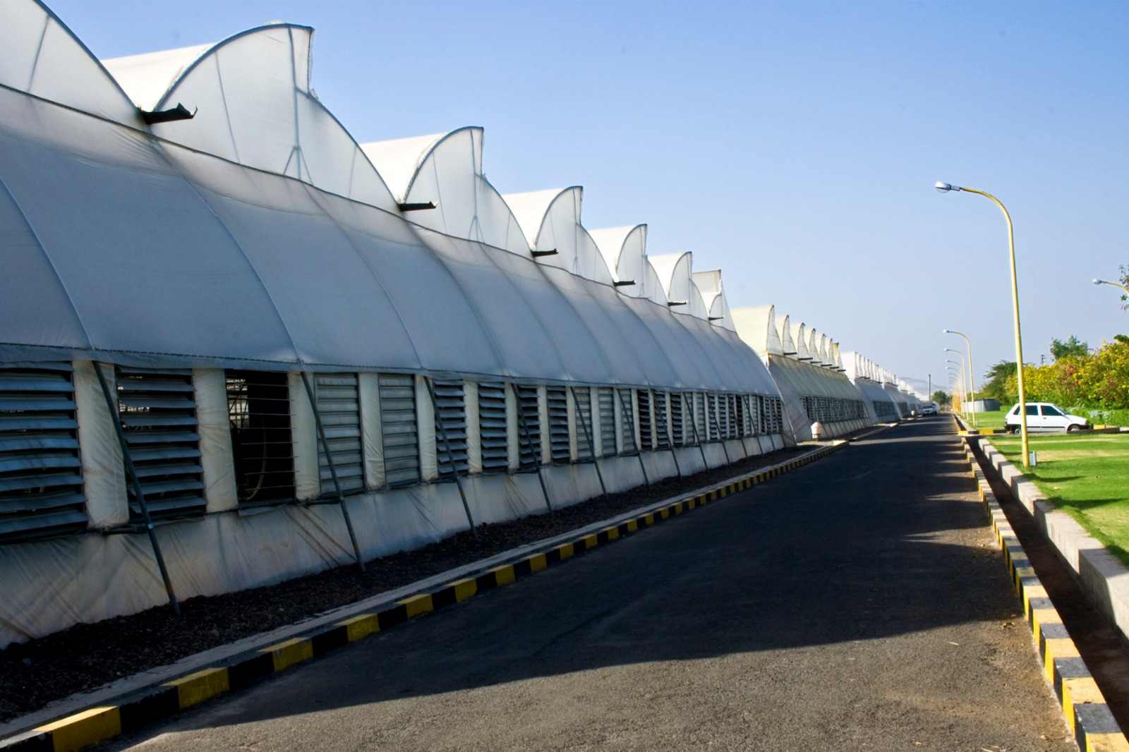 Greenhouse Project 13